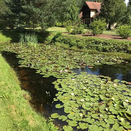 Jaundzervites Viesu Nams Brenguli
