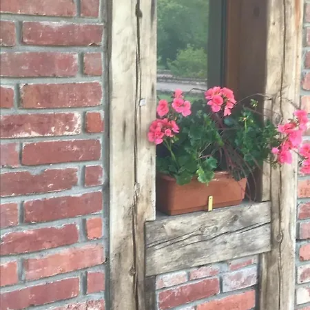 Holiday home Jaundzervites Viesu Nams