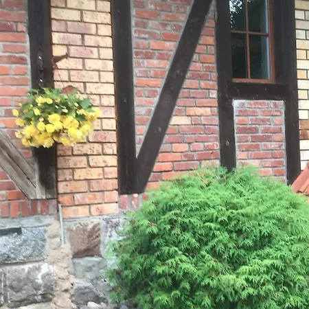 Jaundzervites Viesu Nams Brenguli